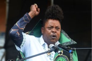 Papa Penny compared to Helen Zille after viral road protest video in Giyani