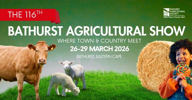 No live cattle – but show will go on!