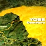 The race for Yobe Government House: Key players and scenarios