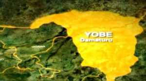 The race for Yobe Government House: Key players and scenarios