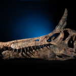 “Hell Heron”: New Dinosaur Species with A Head-mounted Sword Discovered in Africa