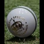 Women’s T20 World Cup to award record prize money