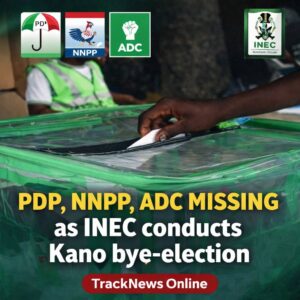 PDP, NNPP, ADC missing as INEC conducts Kano bye-election