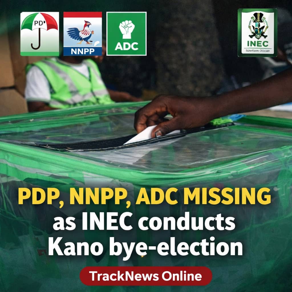 PDP, NNPP, ADC missing as INEC conducts Kano bye-election