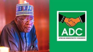 ‘It Is Bad Politics To Make Your Crisis Amupitan And Tinubu’s Problem’ – Presidency Knocks ADC Leaders