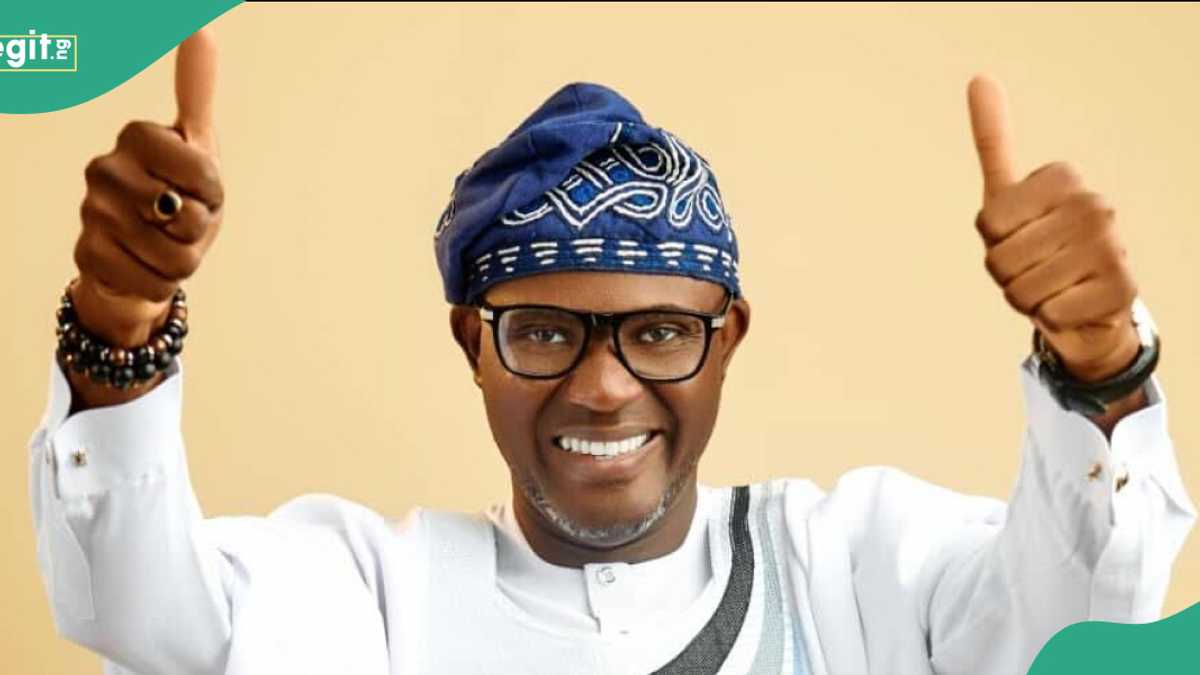 Adeoye calls for strong opposition politics, reject one-party dominance