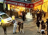 London kebab shop boss brands neighbours ‘racist’ for complaining about ‘chaos and violence’ outside takeaway