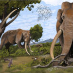 Neanderthals May Have Hunted Giant Elephants that Roamed across Prehistoric Europe