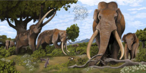 Neanderthals May Have Hunted Giant Elephants that Roamed across Prehistoric Europe