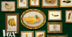 The most interesting fruit in the world could go extinct