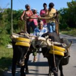 Cuban farmers say a US energy blockade leaves people hungry