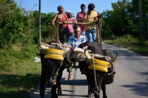 Cuban farmers say a US energy blockade leaves people hungry