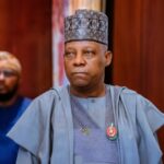 Tinubu not playing politics with insecurity — Shettima