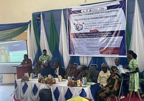 AI key to tackling Nigeria’s power deficit – Experts