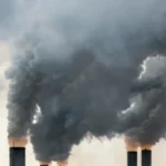 Nigeria Eyes $2.5 Billion from Carbon Credits