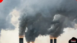 Nigeria Eyes $2.5 Billion from Carbon Credits