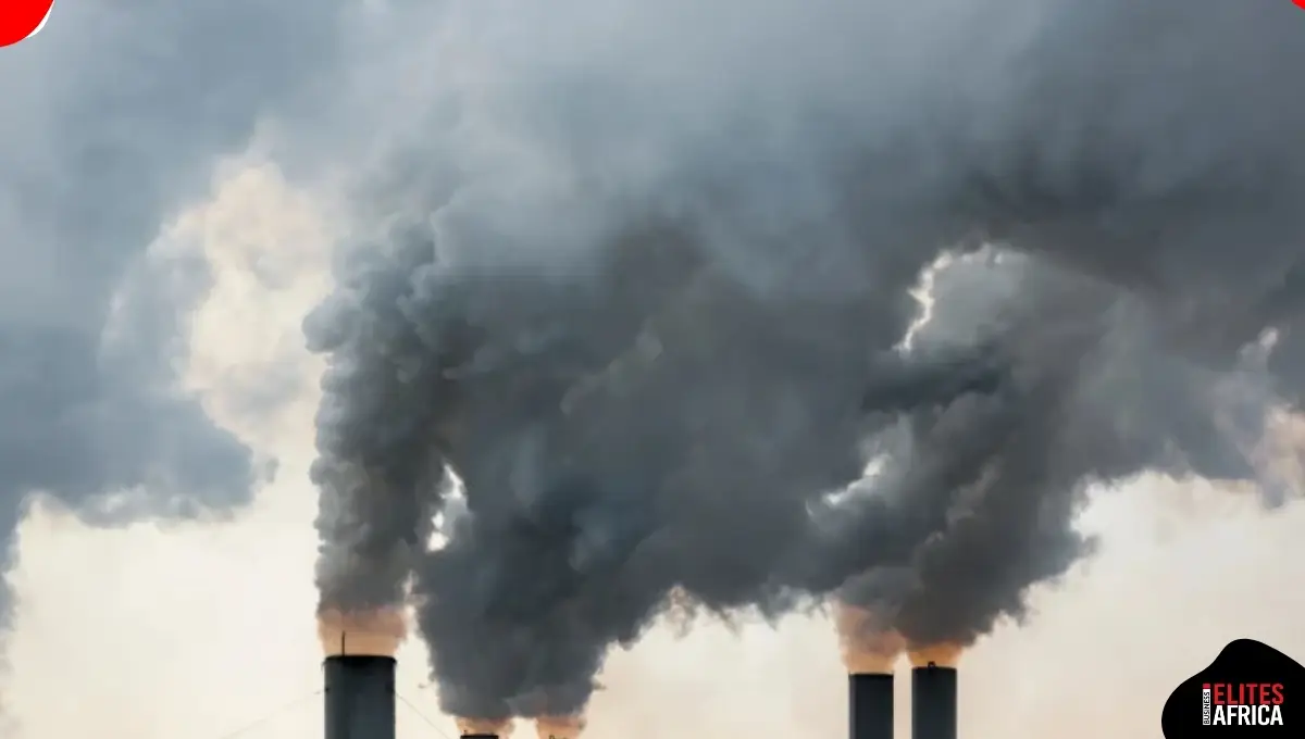Nigeria Eyes $2.5 Billion from Carbon Credits