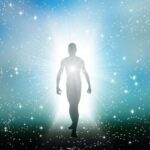 Scientists Say This Overlooked Organ Could Hold the Key to Longer Life