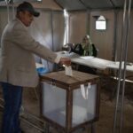 Palestinians in Gaza vote in first election in 20 years