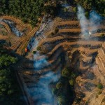 Investigation reveals palm oil fraud affecting European biofuel suppliers