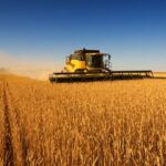 The War in Iran Isn’t Just Raising Food Prices — It’s Revealing Who Really Sets Them