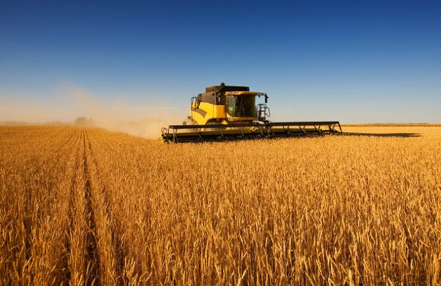 The War in Iran Isn’t Just Raising Food Prices — It’s Revealing Who Really Sets Them