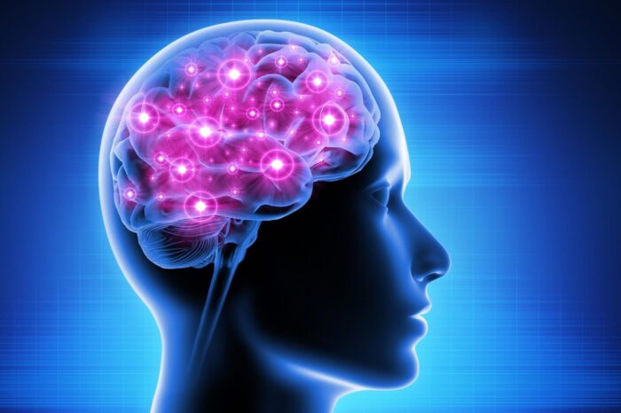 Supporting Brain Health in Later Life: Practical Ways to Lower Dementia Risk