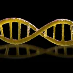 The Download: murderous ‘mirror’ bacteria, and Chinese workers fighting AI doubles