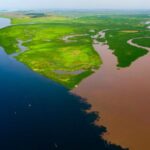 A Hidden African Carbon Vault Is Starting to Leak