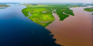 A Hidden African Carbon Vault Is Starting to Leak