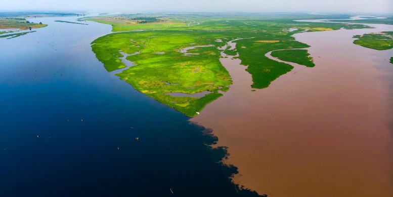 A Hidden African Carbon Vault Is Starting to Leak