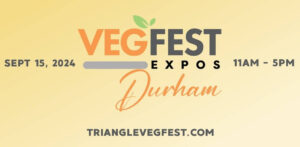 Family Friendly Festival Returns to Durham Central Park