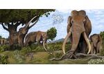 Neanderthals Hunted Straight-Tusked Elephants as They Traveled Across Europe 125,000 Years Ago