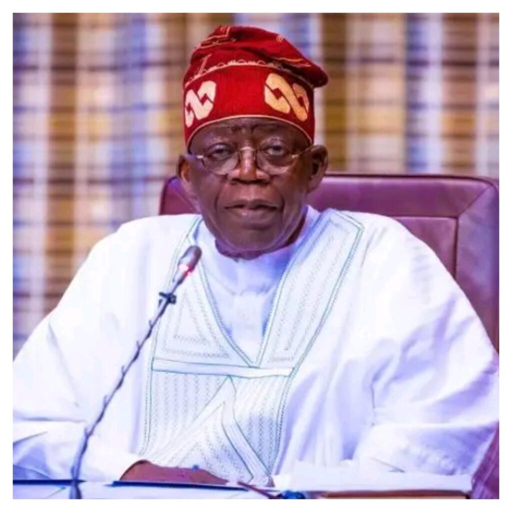 Tinubu Appoints  Oyedele as New Minister of State for Finance, Shifts Anite-Uzoka to Budget Ministry