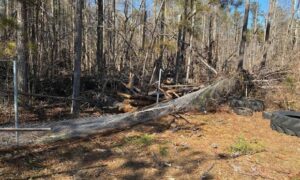 ACLU Challenges Coweta Schools Over East Coweta High Protest Punishments