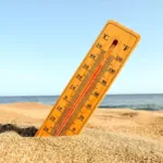 Heatwave Alert! Avoid These Food Items To Prevent Heatstroke And Summer Diarrhoea