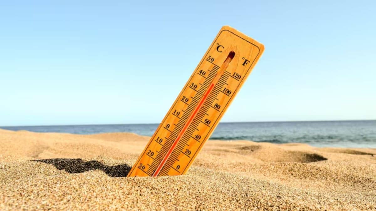Heatwave Alert! Avoid These Food Items To Prevent Heatstroke And Summer Diarrhoea