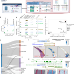 Reference-free discovery with barcoded single-cell sequencing