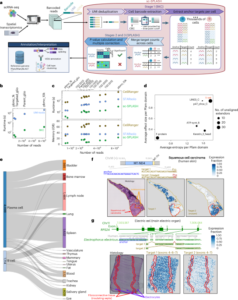 Reference-free discovery with barcoded single-cell sequencing