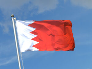 Bahrain Detains 41 Suspects over Alleged IRGC Links