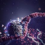 Scientists Discover Simple Trick That Boosts mRNA Therapy Delivery 20-Fold