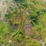 Africa’s next growth frontier: Why agrivoltaics are worth the long-term bet