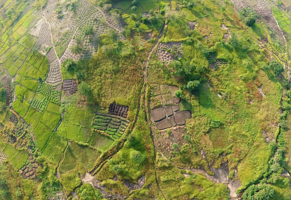 Africa’s next growth frontier: Why agrivoltaics are worth the long-term bet