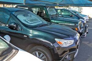 Affordable models gain traction in used car market