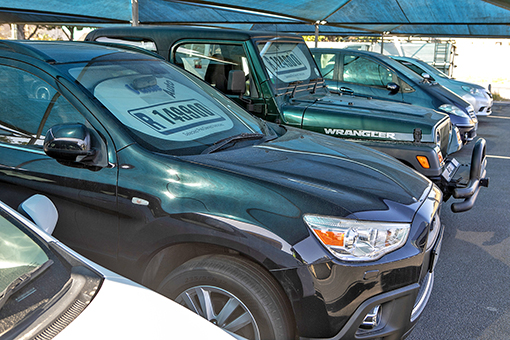 Affordable models gain traction in used car market