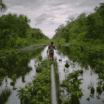 How foreign investor lawsuits stymie environmental protection
