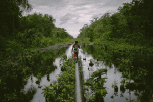 How foreign investor lawsuits stymie environmental protection