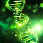 The Genetics of Living Longer: Study Challenges Decades of Aging Research