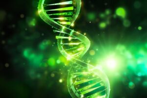 The Genetics of Living Longer: Study Challenges Decades of Aging Research