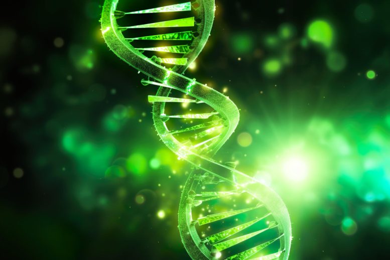 The Genetics of Living Longer: Study Challenges Decades of Aging Research
